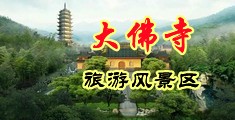 3d动漫黑丝美女打飞机视频在线观看中国浙江-新昌大佛寺旅游风景区